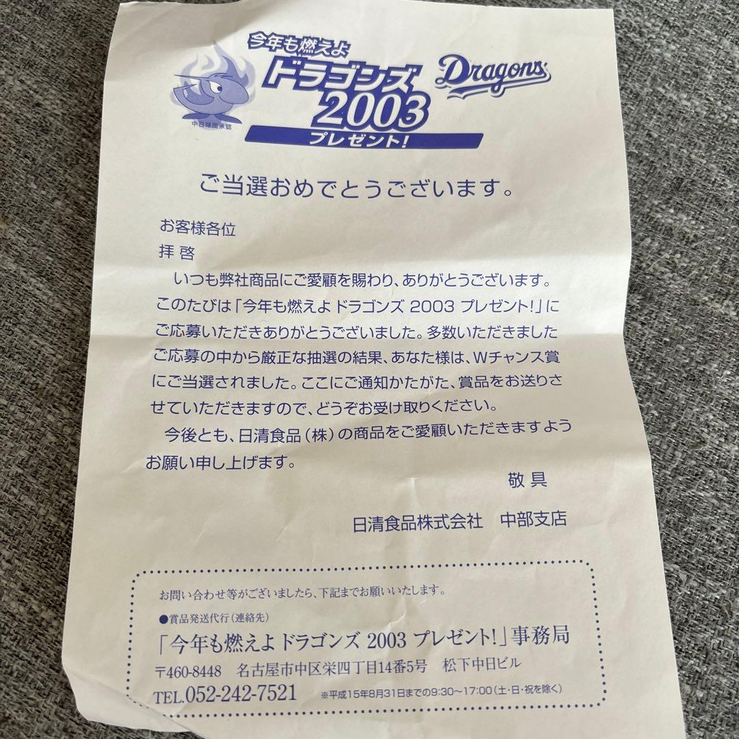 中日ドラゴンズ　どんぶり