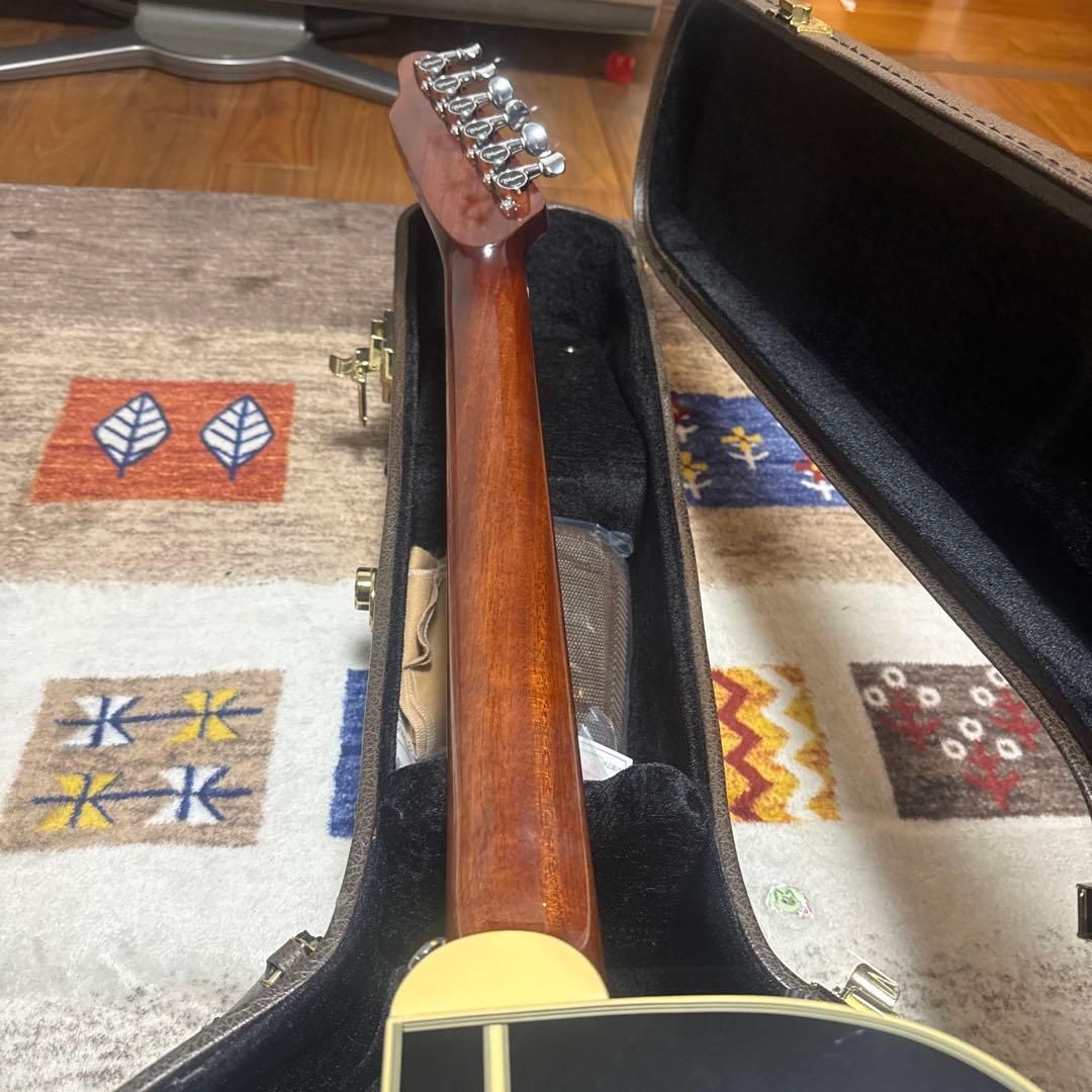 タカミネ　TDP500-6 BL takamine