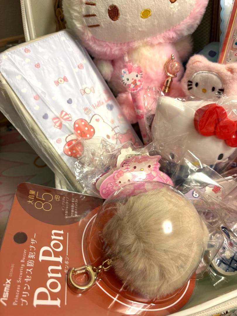 【限定1】トランク付入学キティもりもりセット❤︎
