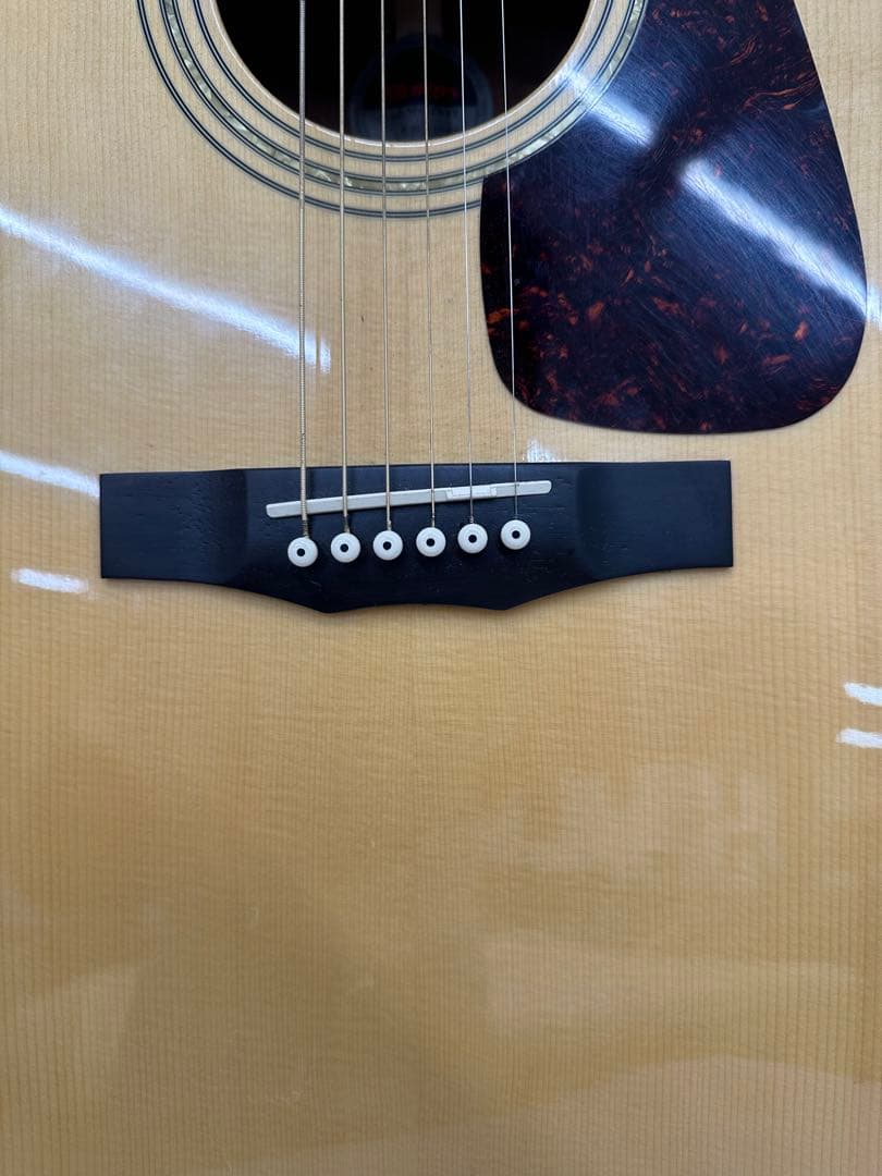 Morris アコースティックギター M-12NAT美品
