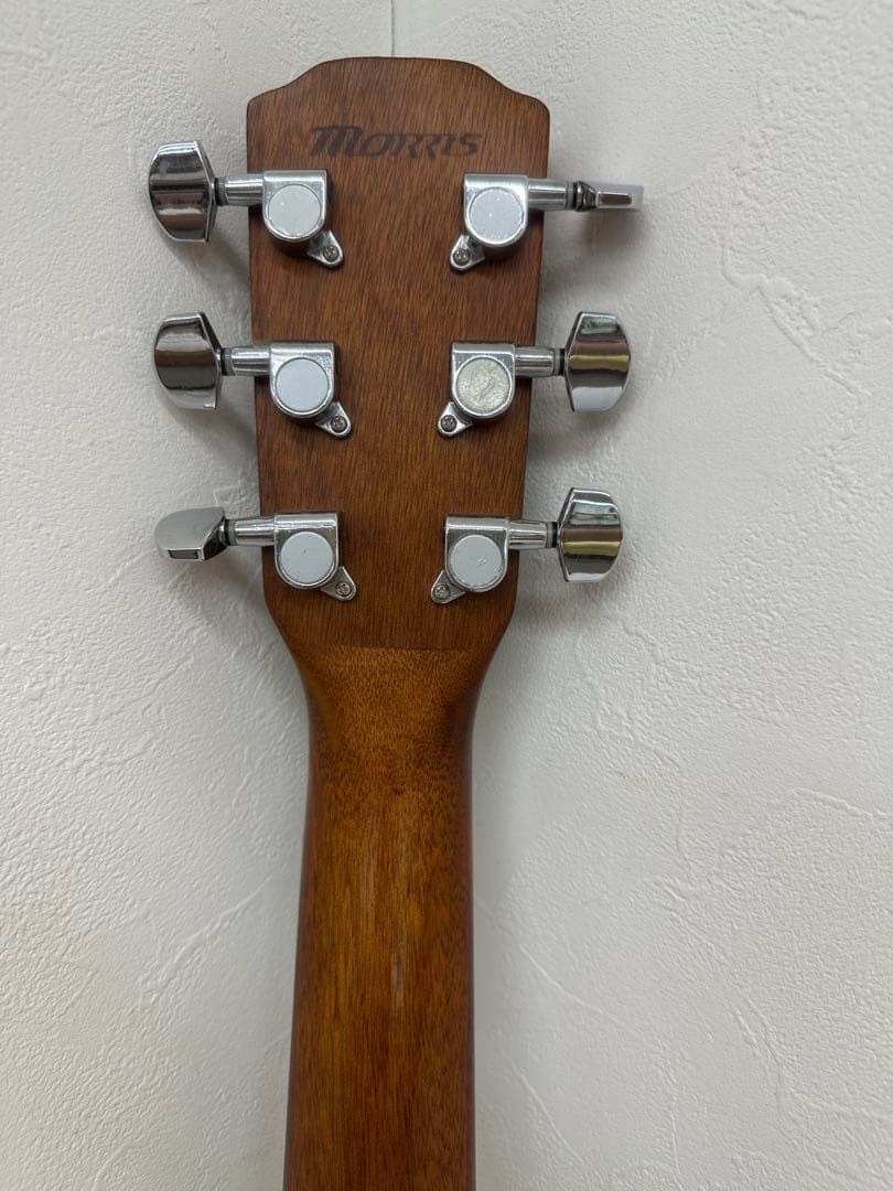 Morris アコースティックギター M-12NAT美品