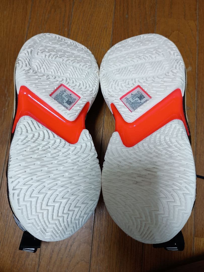 i*5様 新品未使用タグ箱付 NIKE JORDAN WHY NOT ZERO.