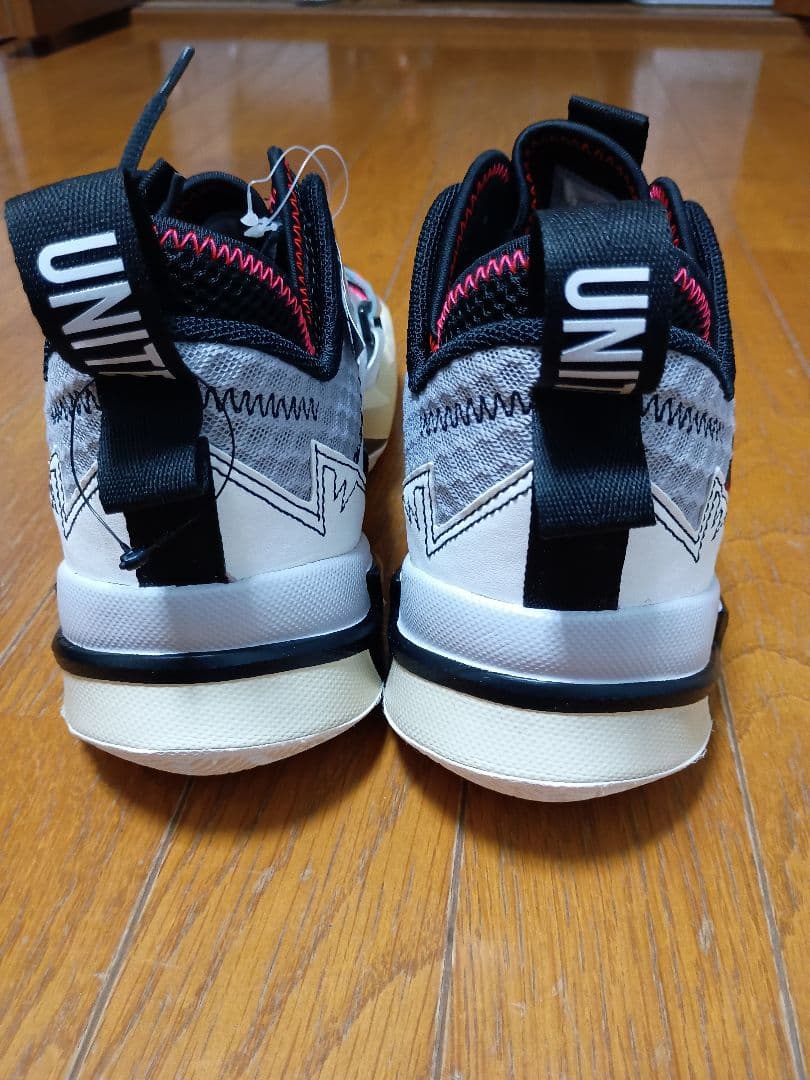 i*5様 新品未使用タグ箱付 NIKE JORDAN WHY NOT ZERO.