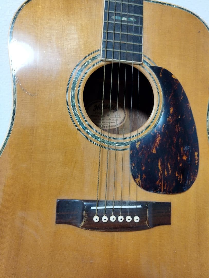 Hillbilly アコースティックギター W-60