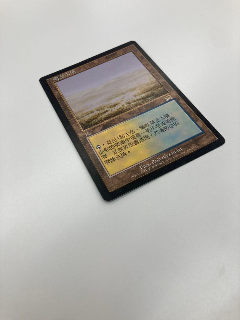 Mtg 溢れかえる岸辺 中国語