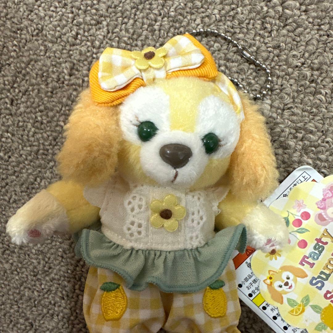 ディズニー　タグ付き　クッキーアン　テイスティサマーサプライズ　ぬいば