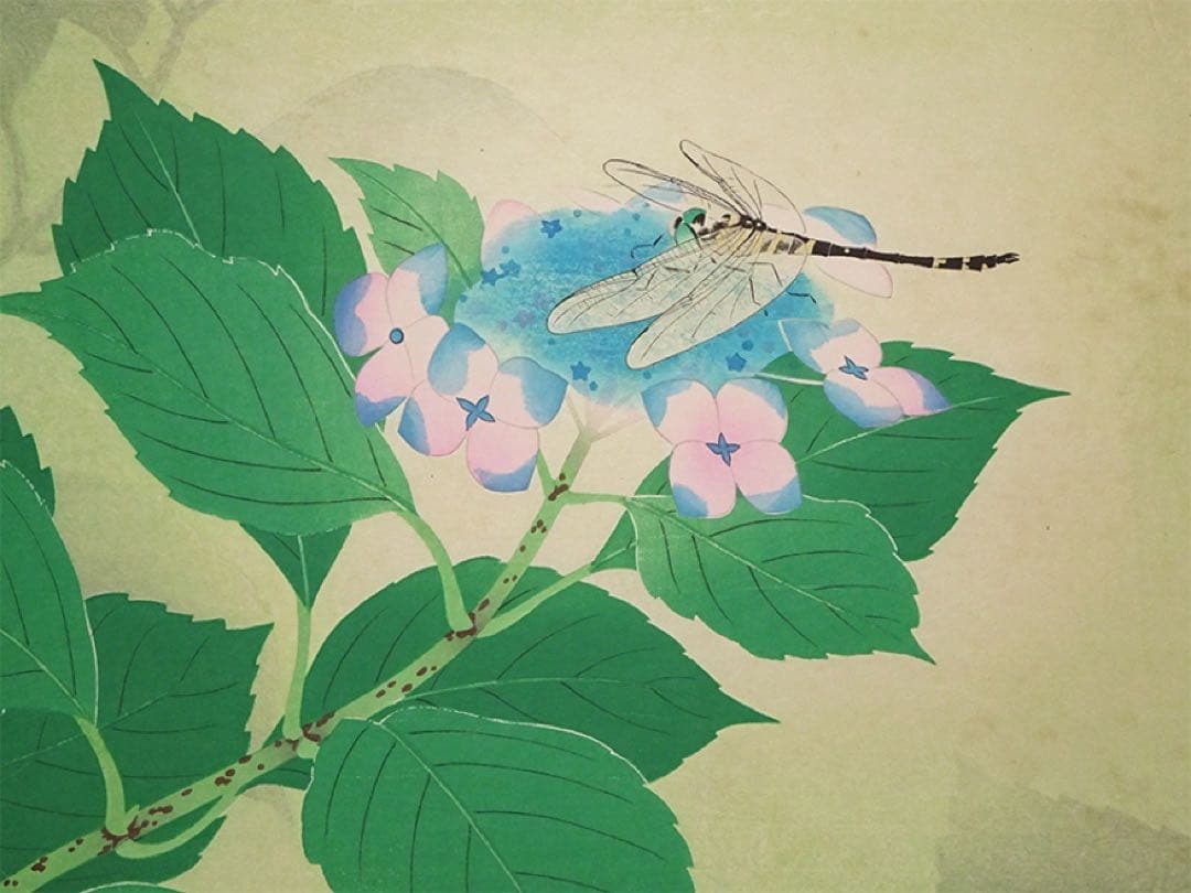 日展審査員 加藤晨明 手摺木版画『八仙花』昭和23年作 新版画 師中村岳陵