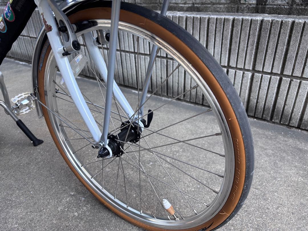 RALEIGH RSM ラレー ミニベロ ブルーラグ カスタム