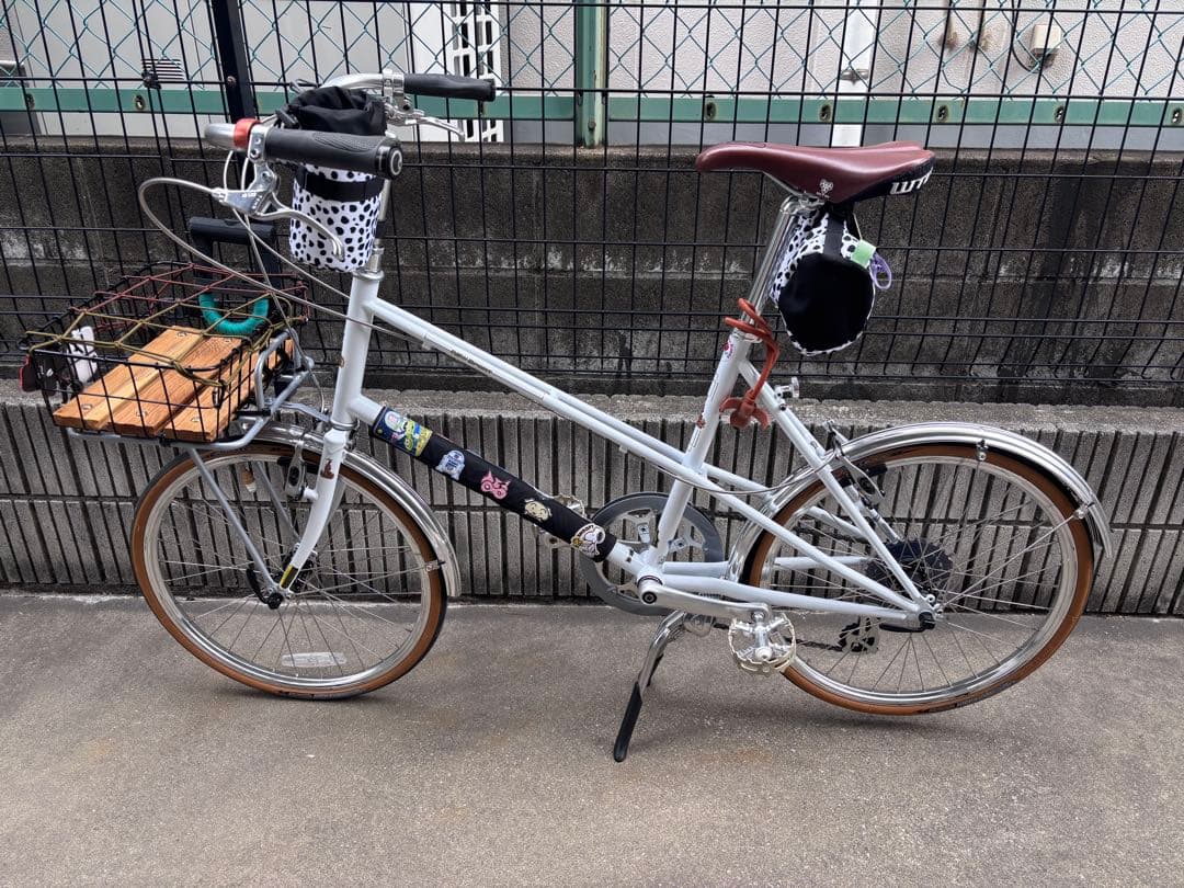 RALEIGH RSM ラレー ミニベロ ブルーラグ カスタム