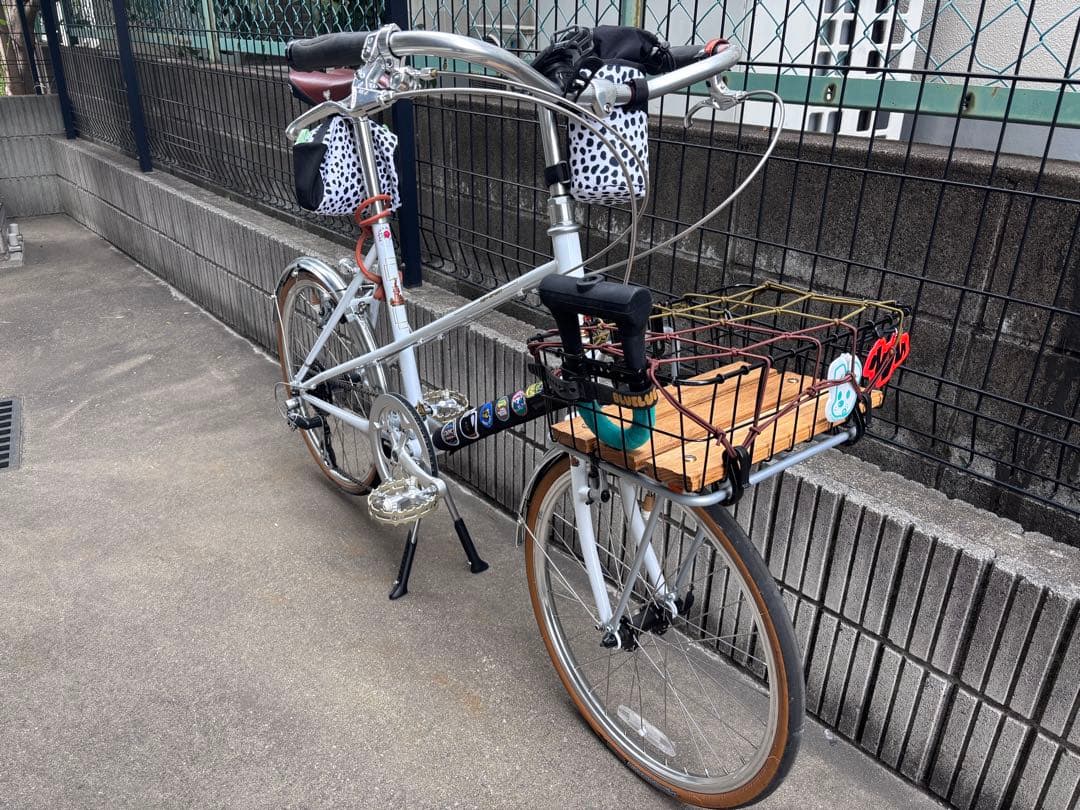 RALEIGH RSM ラレー ミニベロ ブルーラグ カスタム