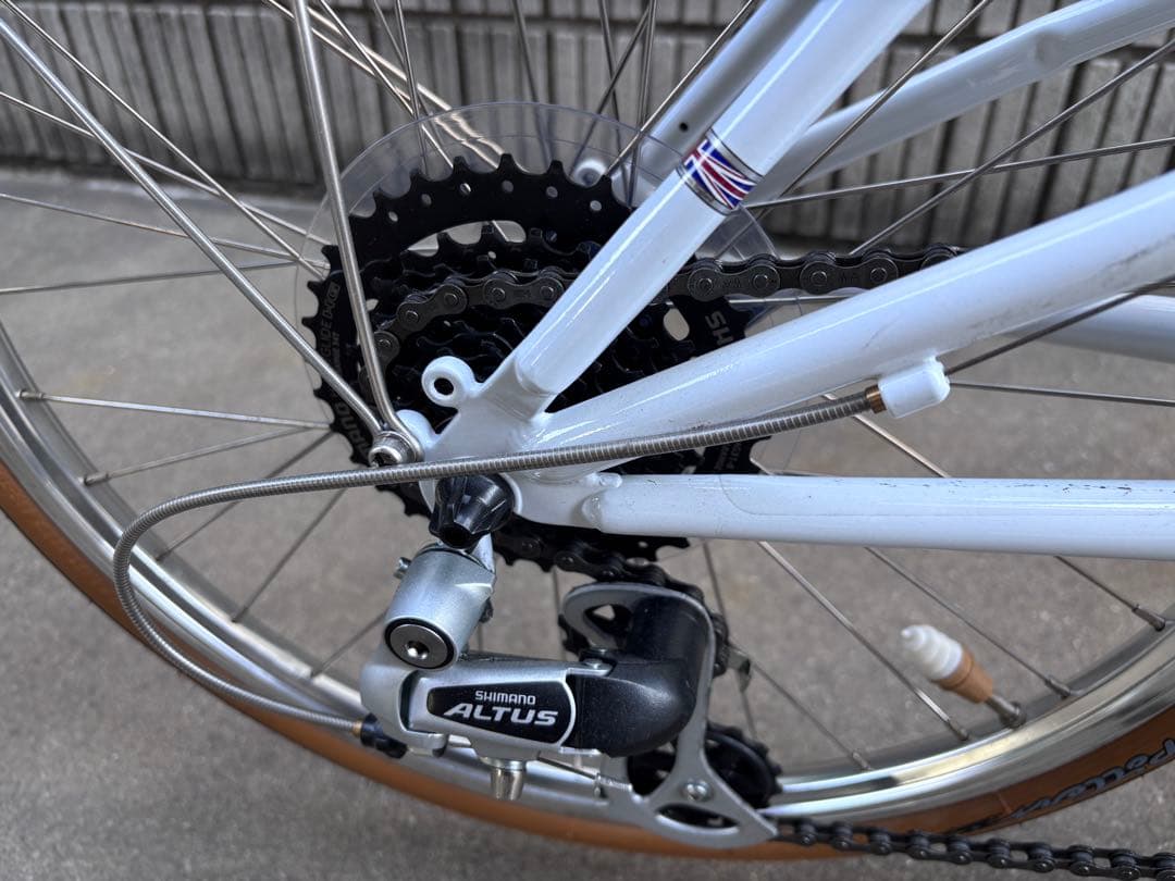 RALEIGH RSM ラレー ミニベロ ブルーラグ カスタム