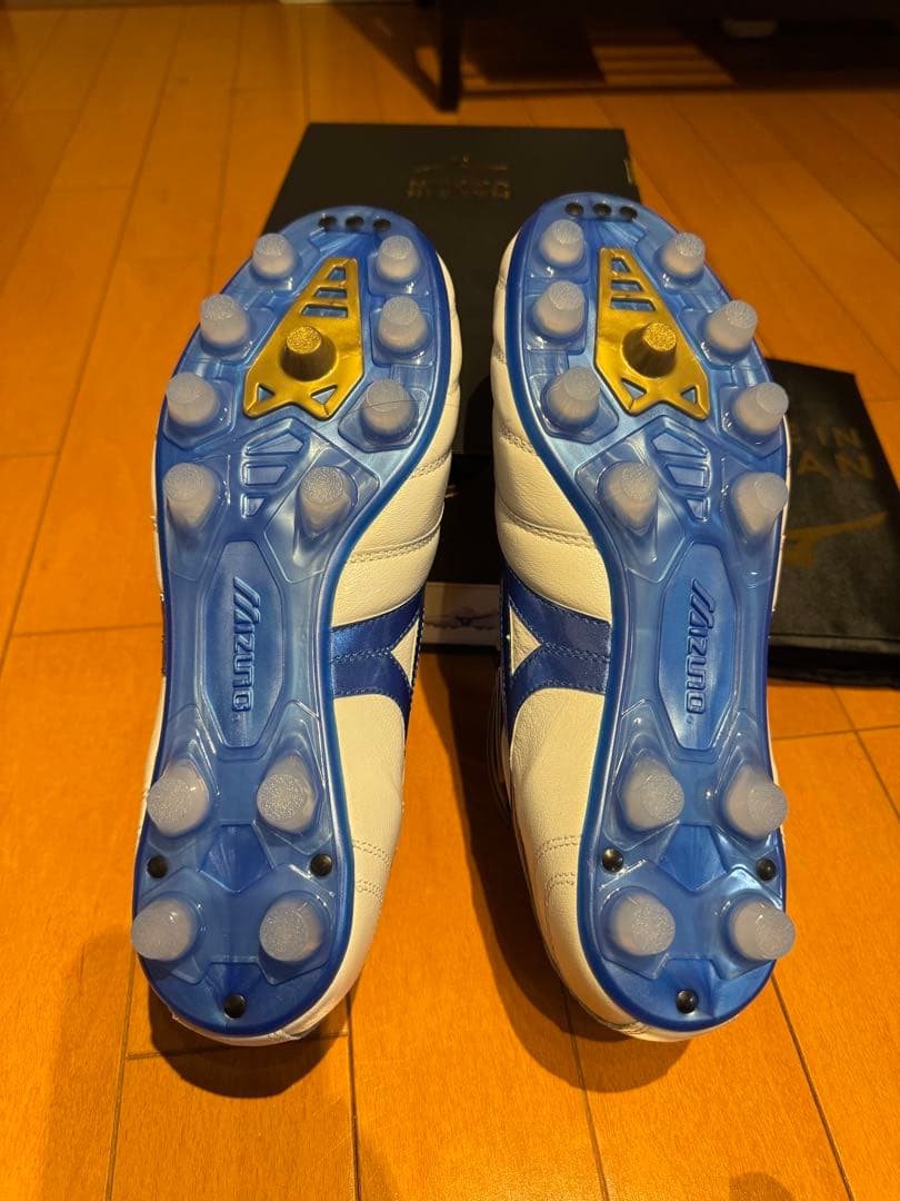 【25.0cm】Morelia II Japan Magen pack