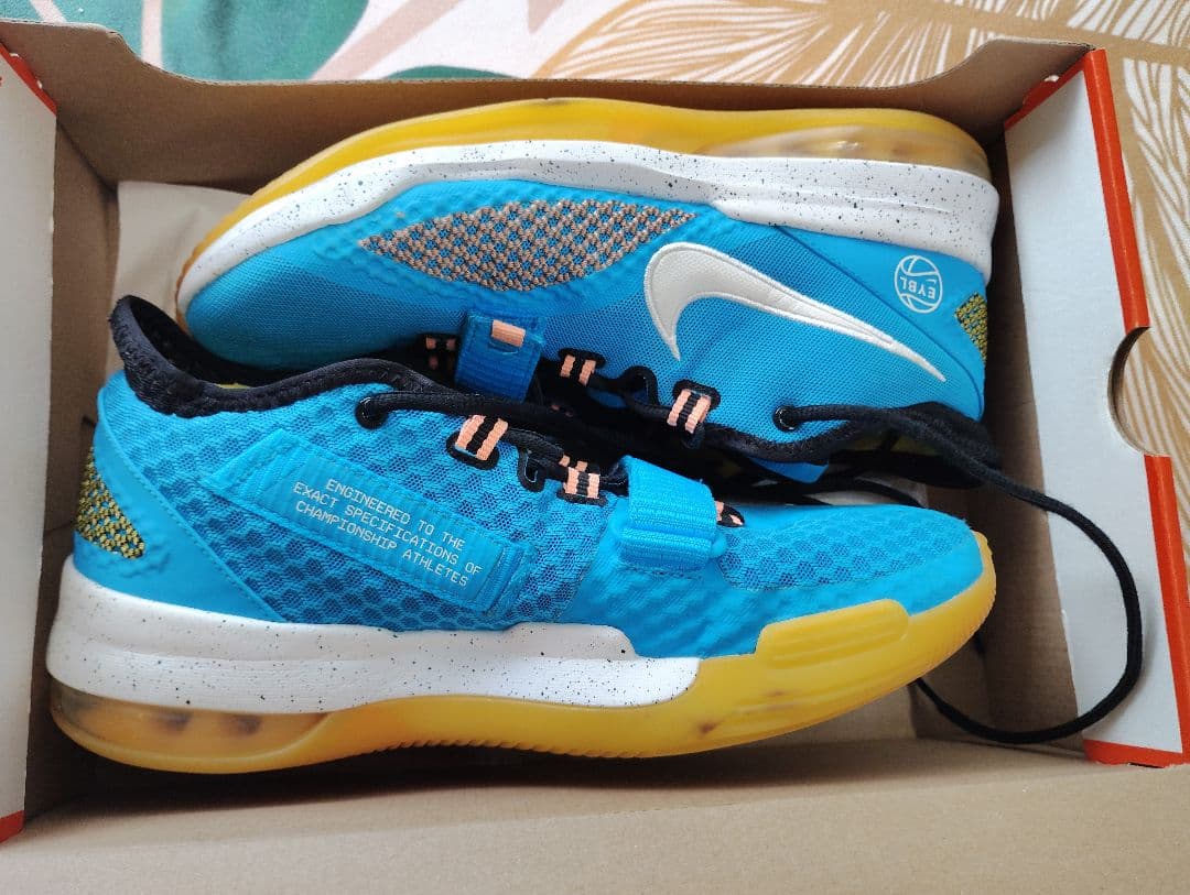 【海外限定】Nike Air Force Max Low Eybl Size10