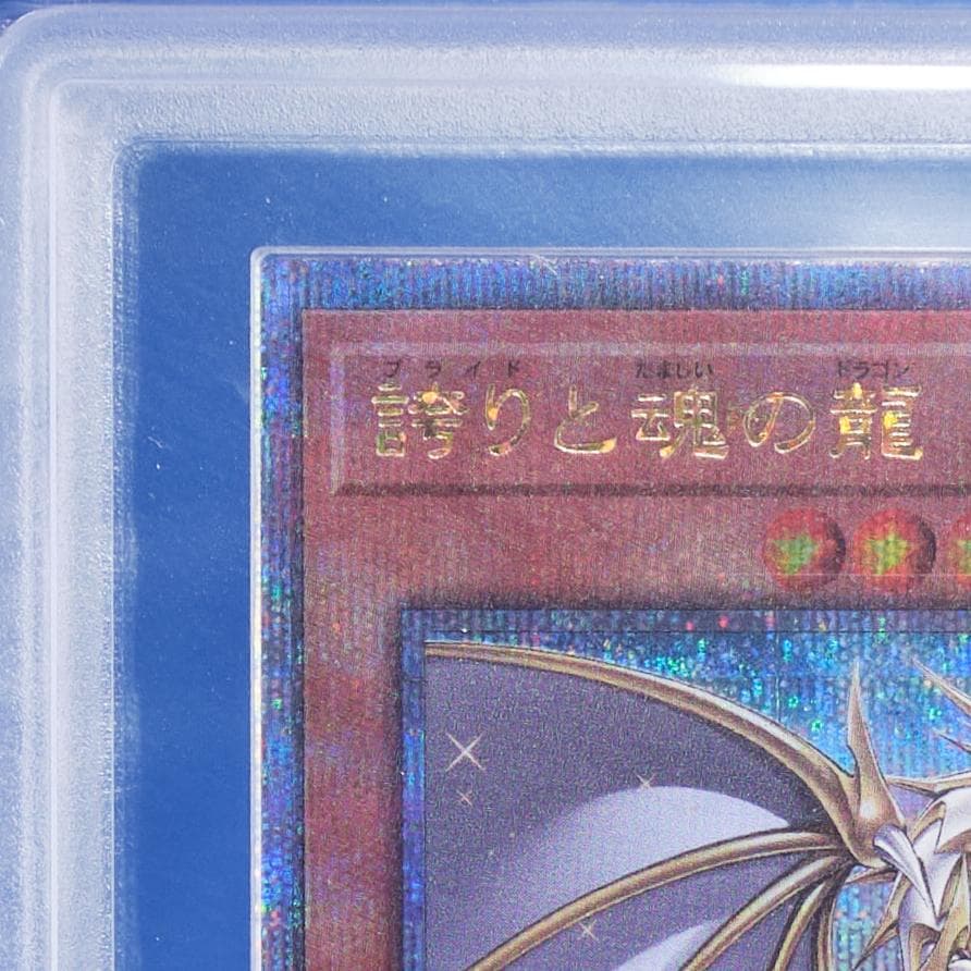 【ARS10】誇りと魂の龍 25th クオシク 鑑定書付