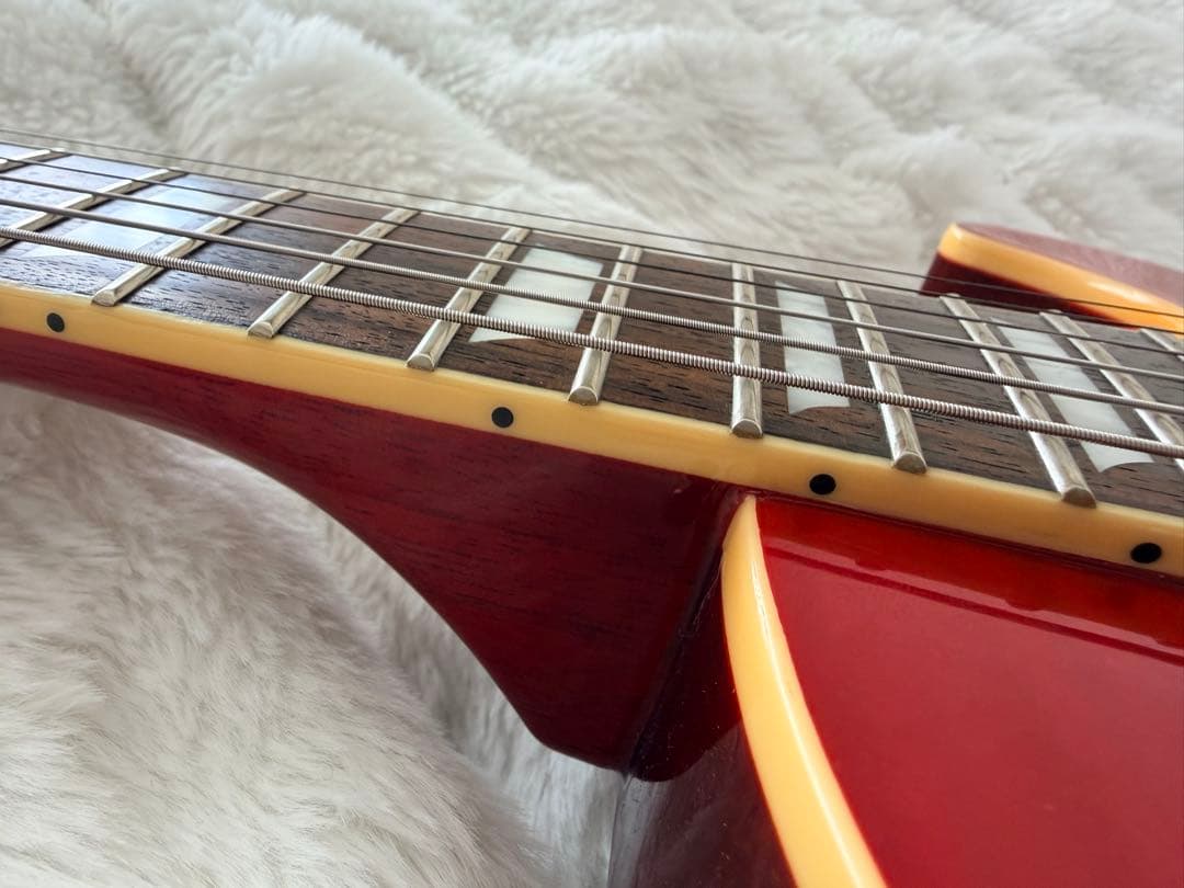 BURNY srlg55 値下げします