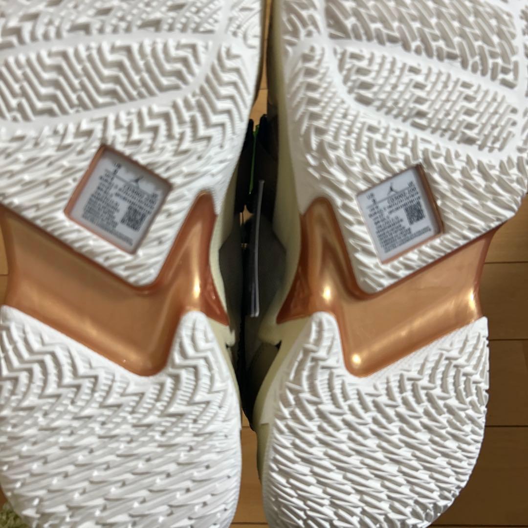 新品 NIKE JORDAN WHYNOTZER0.3 PF ジョーダン
