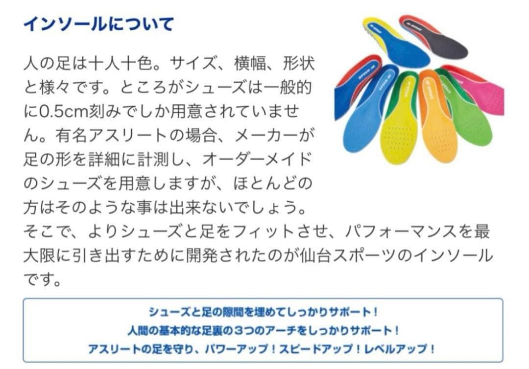 ★仙台スポーツ　インソール　Dr.Healix 熱成形可能　スキースノボー自転車