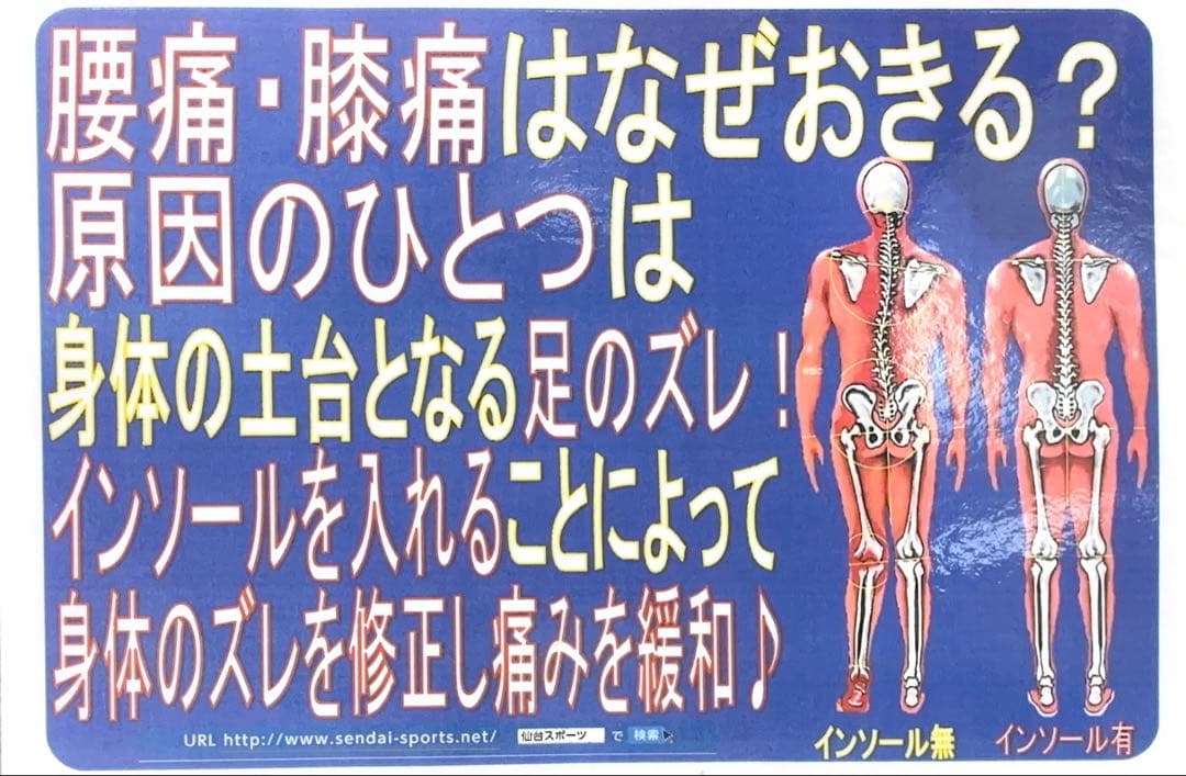 ★仙台スポーツ　インソール　Dr.Healix 熱成形可能　スキースノボー自転車