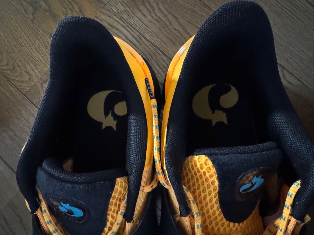 アンダーアーマーCurry Fox1