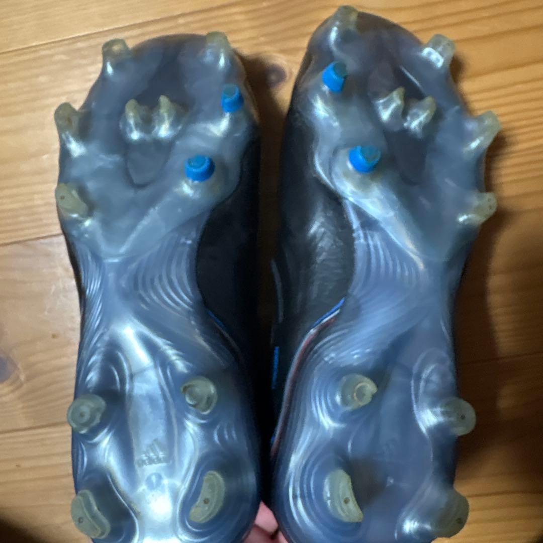 コパセンス +FG