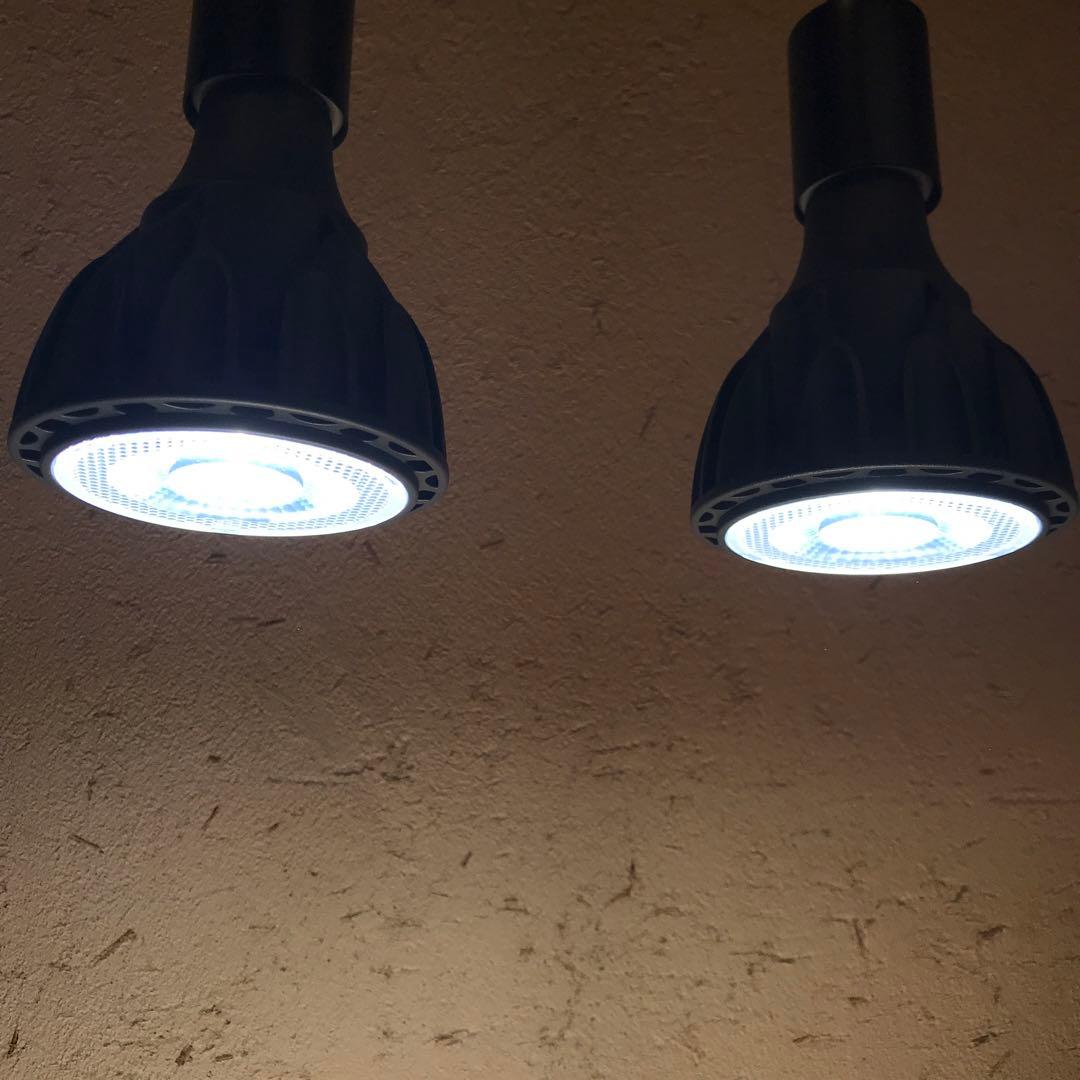 Helios Green LED JP-HG24 24W E26 2個セット