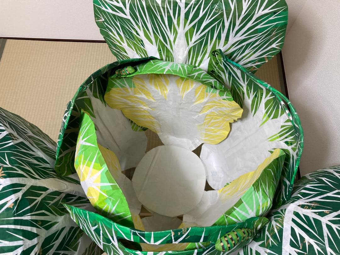ダンボール製白菜コンテナ