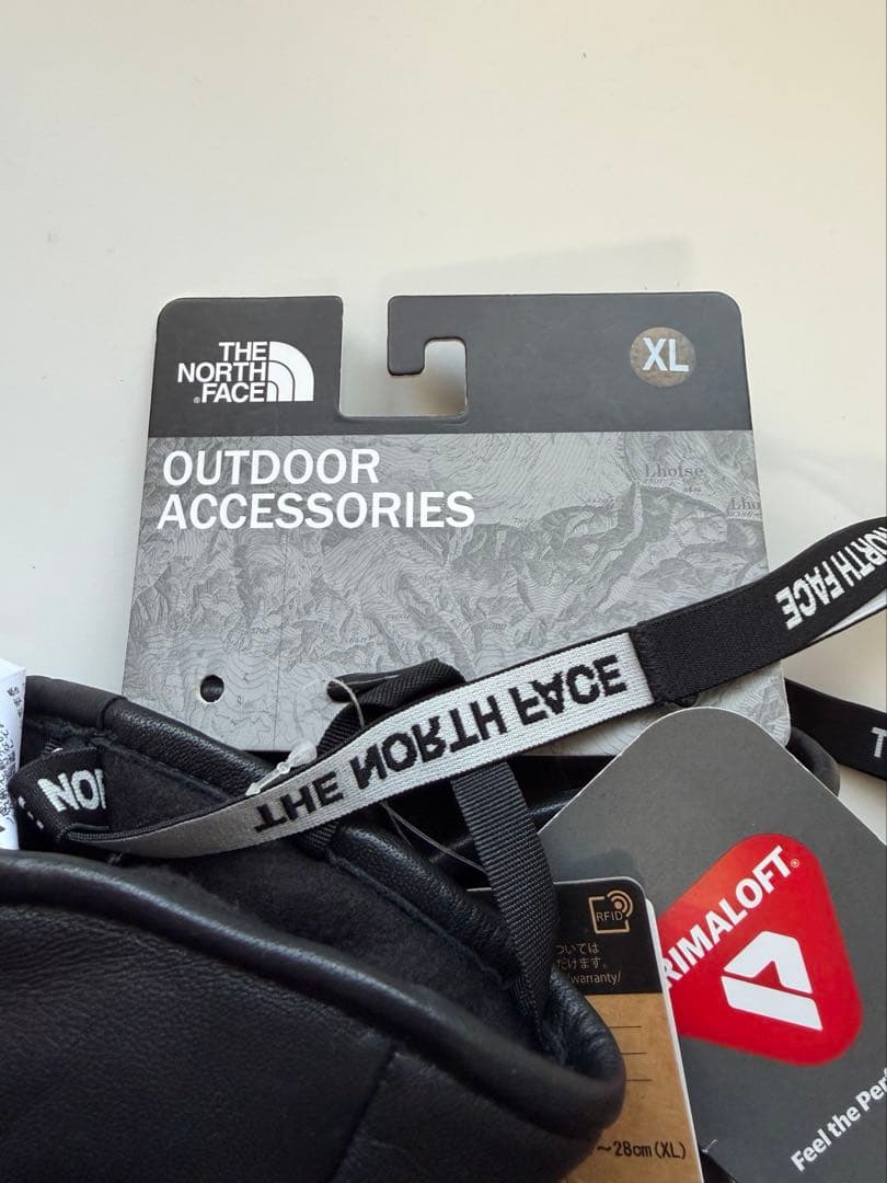 THE NORTH FACE WALLRIDE FL TRIG スキーグローブ