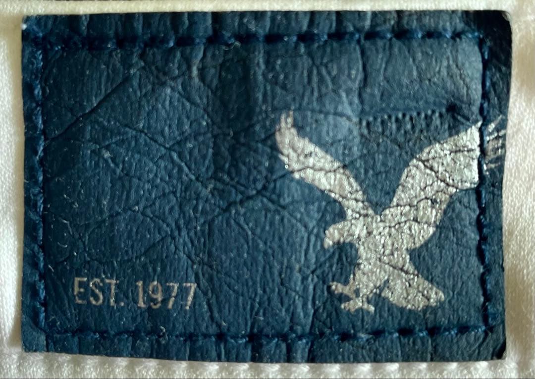 Amarican Eagle❗️メンズショートパンツ❗️Ｌ〜XL❗️