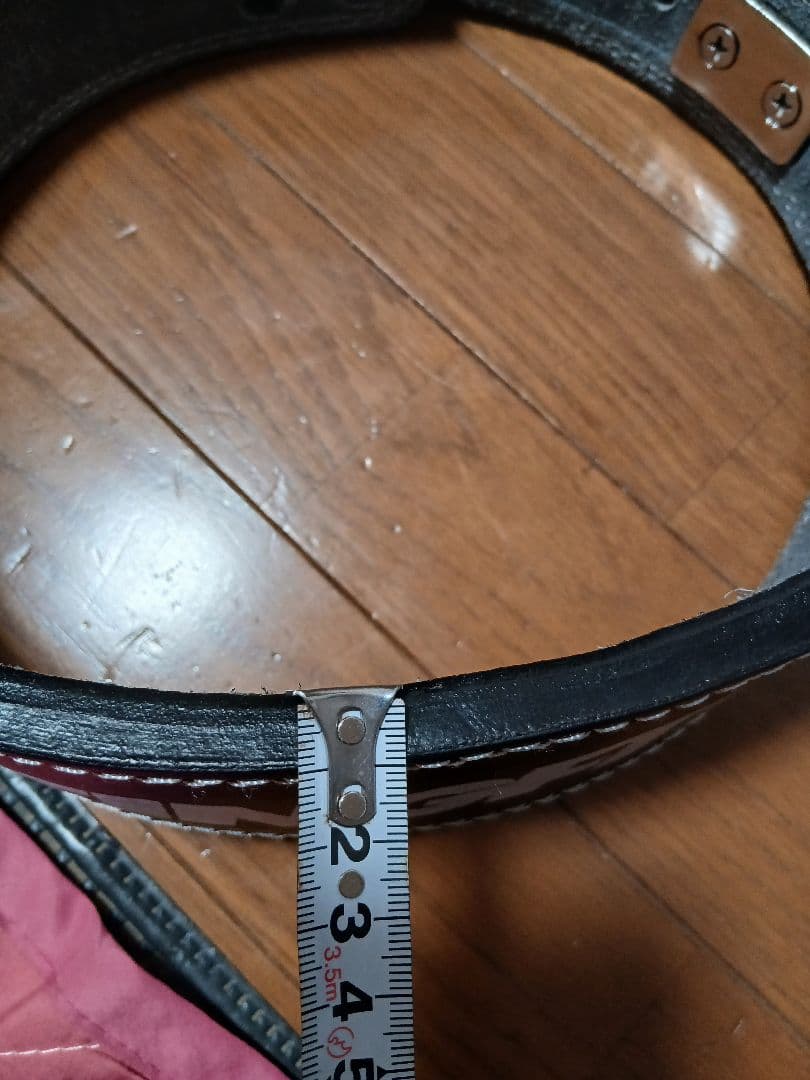 BEINGFIT トレーニング・レバーアクションベルト