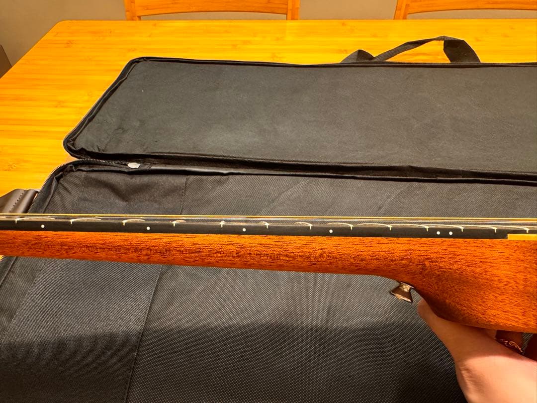 Martin マーチン　バックパッカー　ソフトケース付属