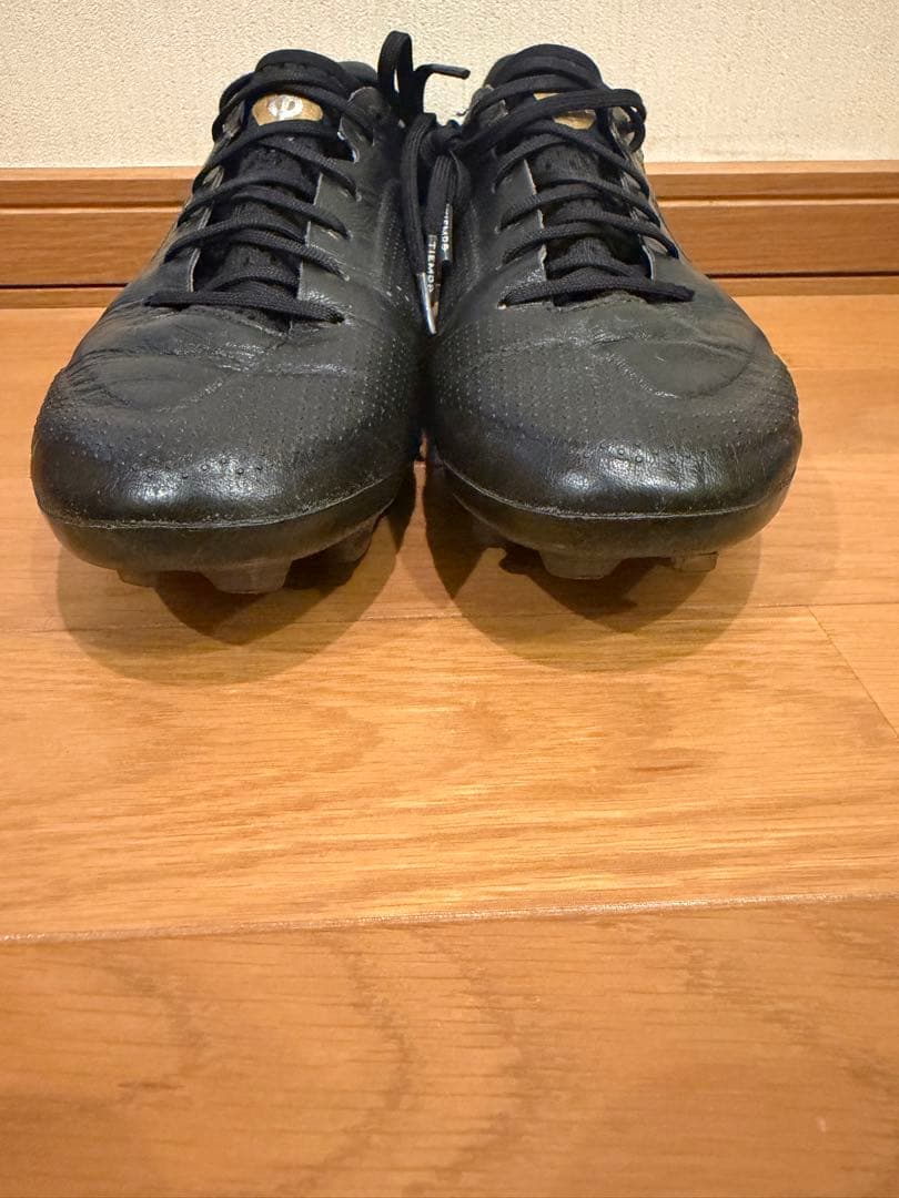 Nike ティエンポ9 FG