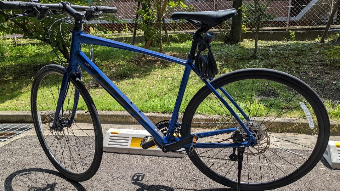 GIANT ESCAPE RX DISC　カメレオンネプチューン