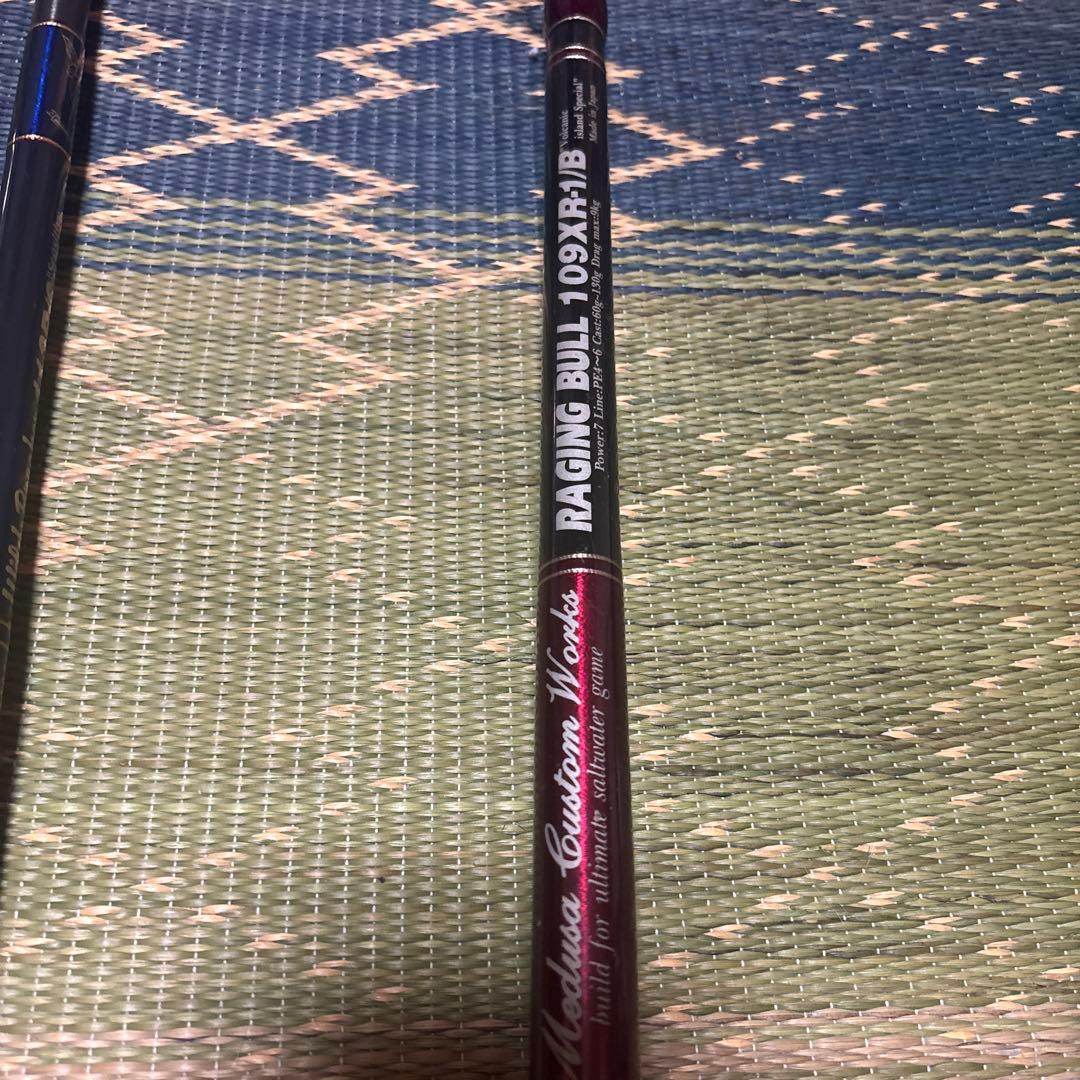 磯竿 Wild Bumper 113BR Raging Bull 109XR