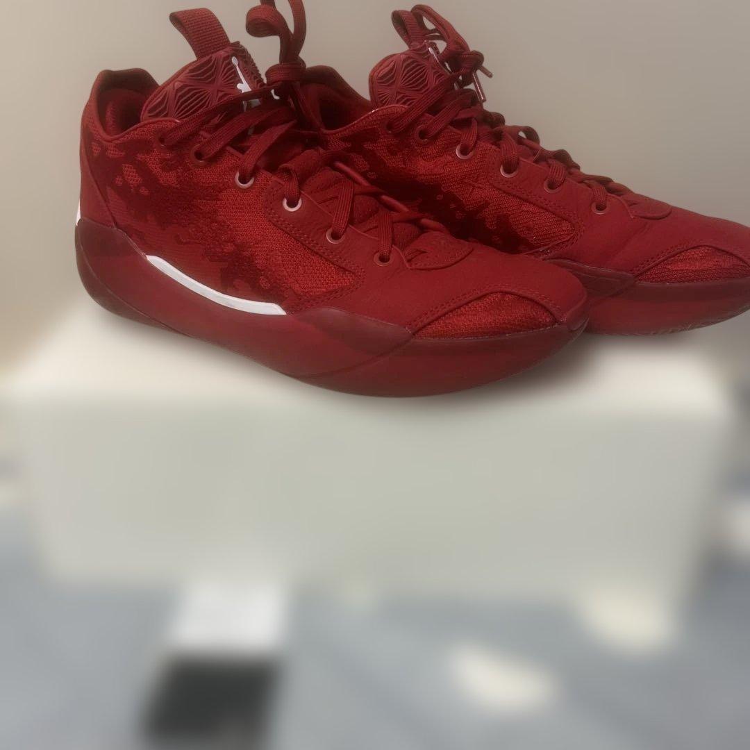 シューズ(男性用) Jordan39