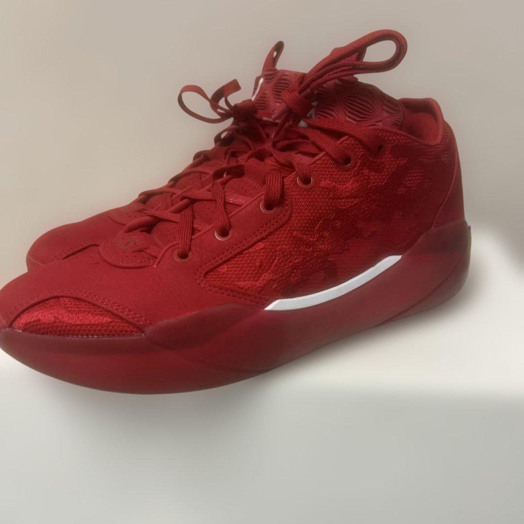 シューズ(男性用) Jordan39