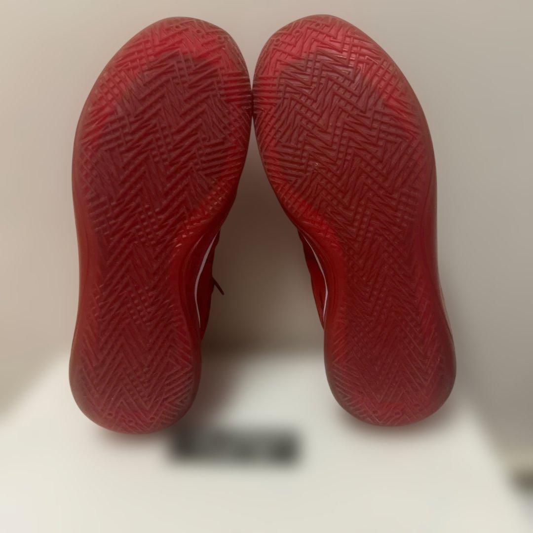 シューズ(男性用) Jordan39