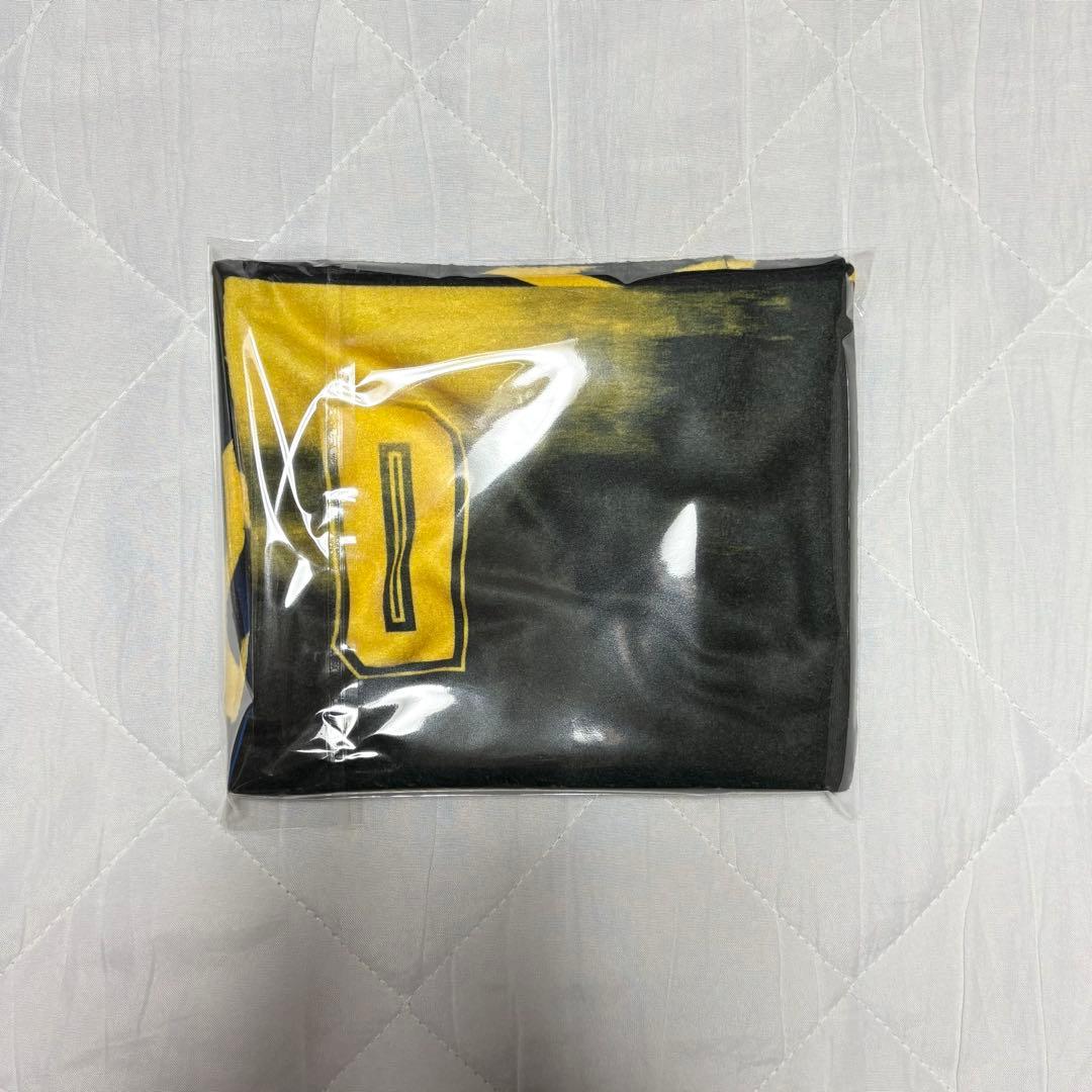 【新品】群馬クレインサンダーズ　N&Nショートループマフラー　藤井祐眞
