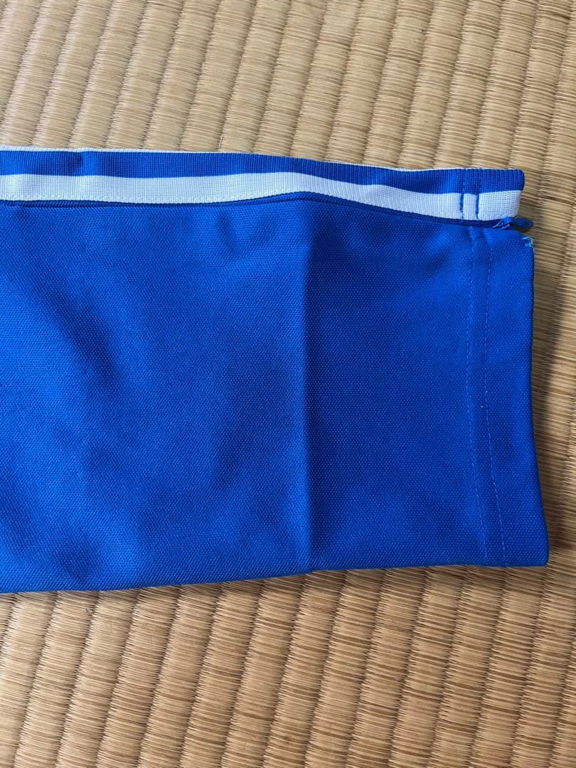 希少カラー adidas ヨーロッパ firebirdトラックパンツ