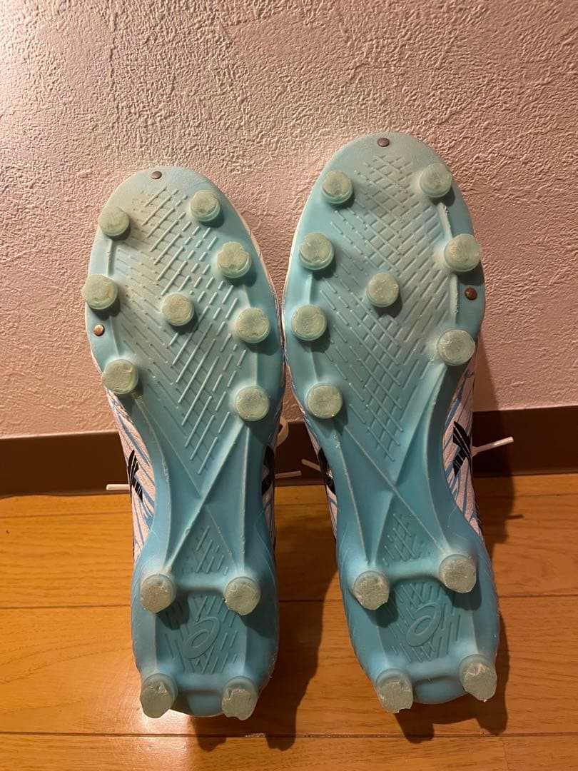 シューズ DS LIGHT X-FLY 5 LIMITED