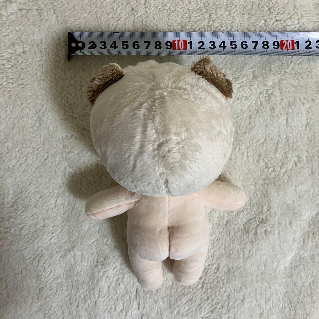 BTSバンタンテヒョンテテthvぬいぐるみ 20cm着せ替えまとめ売りマスター