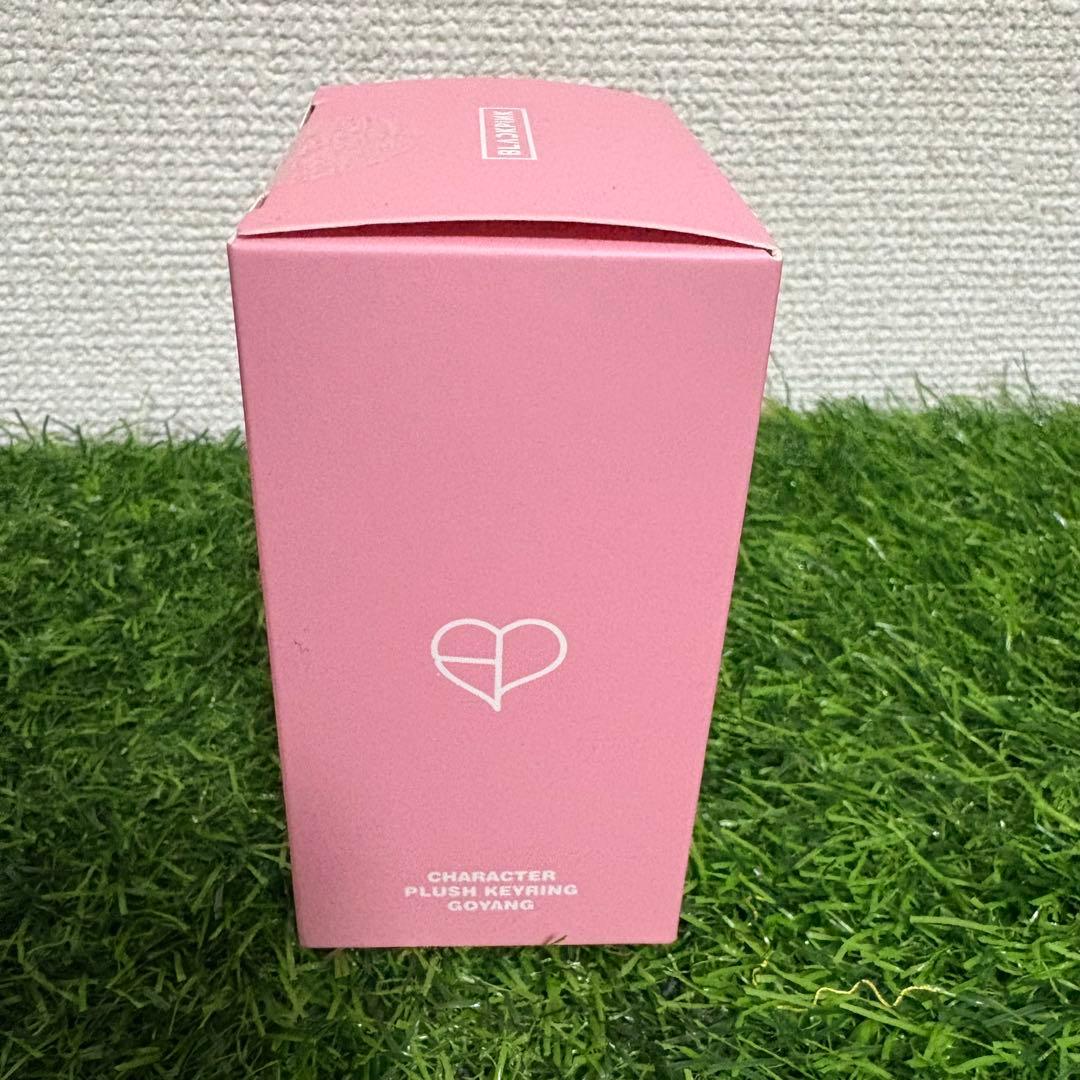 BLACKPINK DEADLINE ジェニ ぬいぐるみ gomdeuki