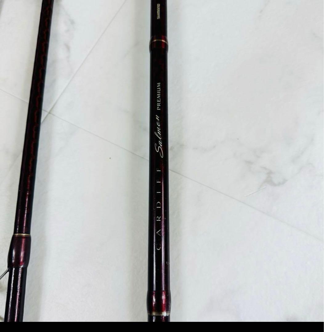 SHIMANO シマノ カーディフ サーモン プレミアム 120H 秋鮭