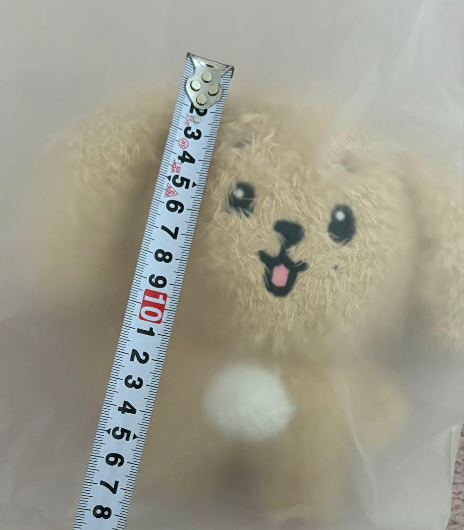 seventeen ドギョム　miniteen ぬいぐるみ