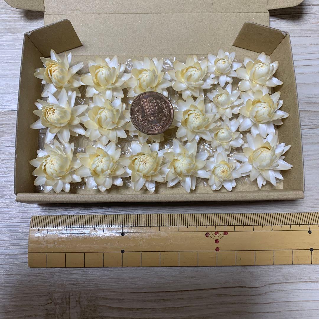 ご確認用③ ヘリクリサムドライフラワー　花材　リース　ハーバリウム