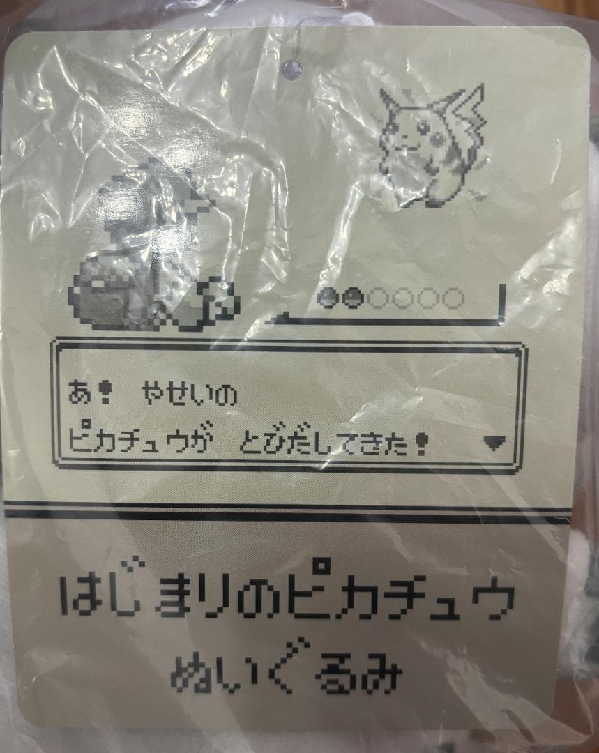 即納）ポケモン30周年 はじまりのピカチュウぬいぐるみ＋マスコット ポケセン限定