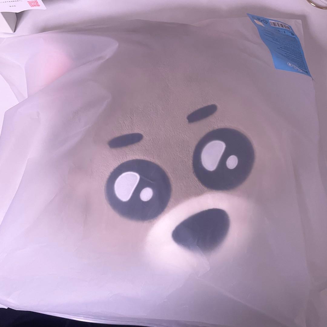 BOYNEXTDOOR BBNEXDO ジェヒョン クッション