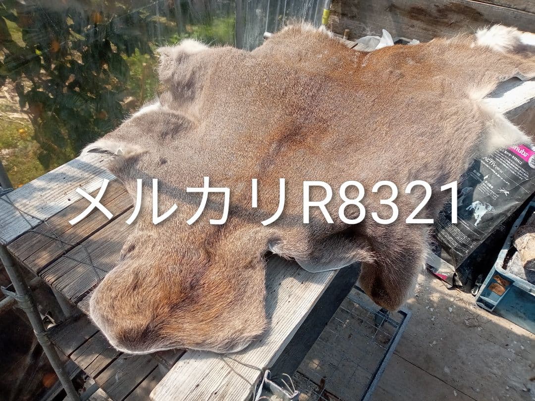 天然日本鹿の冬毛　ラグ
