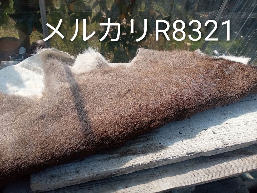 天然日本鹿の冬毛　ラグ