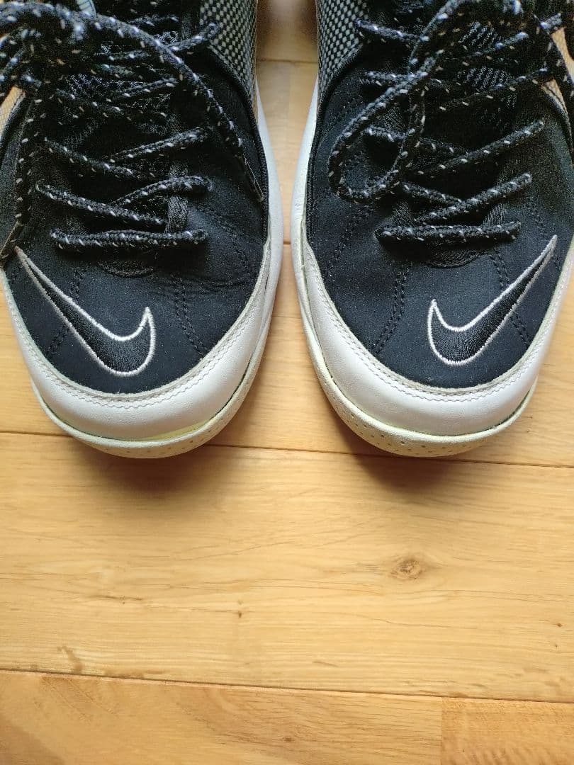 2015年製 AIR ZOOM FLIGHT95 PREMIUM 9.5
