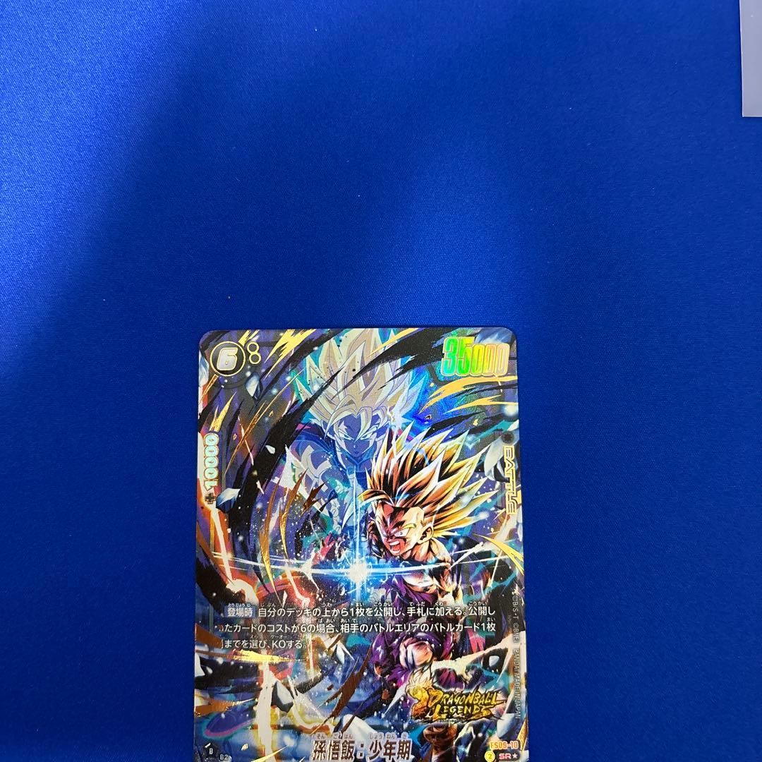 孫悟飯SRパラレル少年期　FS09-10